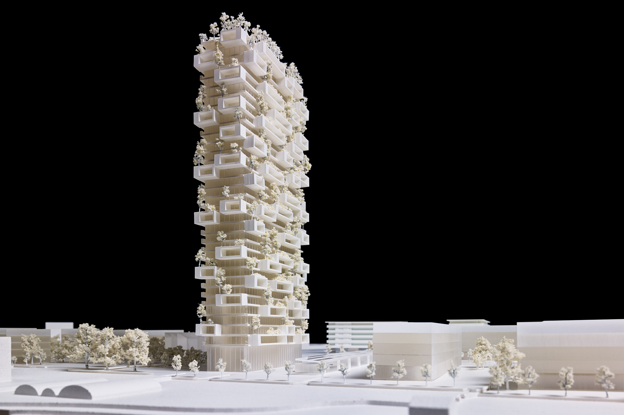 E15567 Alpa 053502 SCREEN